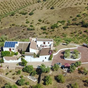  Pensión Olivetum Colina